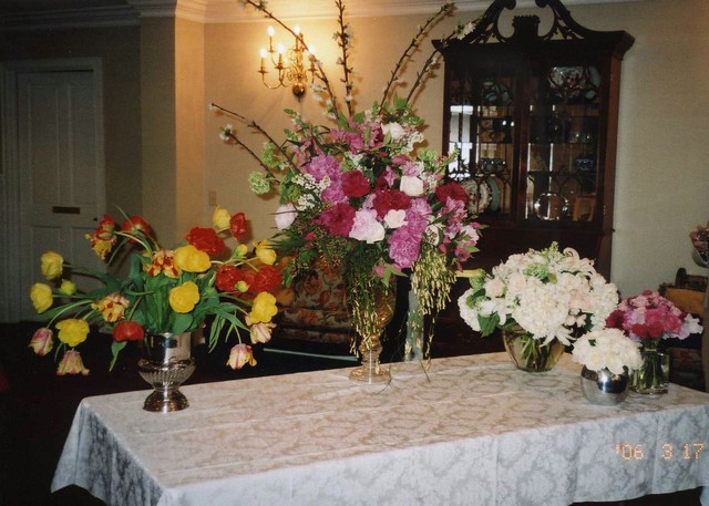IMAGE1.jpg