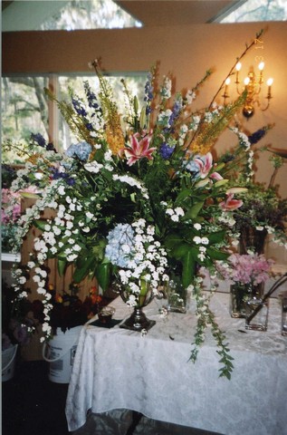 IMAGE2.jpg