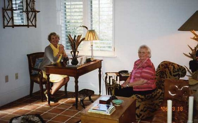 toh11.jpg