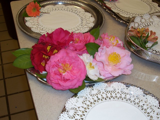100_1081.JPG